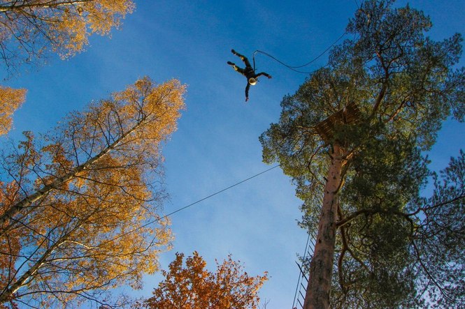 Прыжки с дерева - акробатика